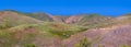 Gorman hills in California with early bloom of poppy and lupin flowers during spring time Royalty Free Stock Photo