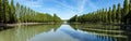 Grand canal in Parc de Sceaux in summer - Hauts-de-Seine, France