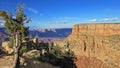 Panoramic view of Grand Canyon, USA Royalty Free Stock Photo