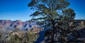 Panoramic View of the Grand Canyon as Seen from the South Rim on a Bright, Clear Autumn Afternoon Royalty Free Stock Photo