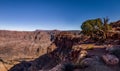 Panoramic view of Grand Canyon West Rim - Arizona, USA Royalty Free Stock Photo