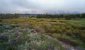 Panoramic view of Grand Teton range in Grand Teton National Park