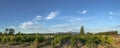 Panorama of Vineyard With Mont Ventoux In Background at golden hour, sunset light in Provence, southern France Royalty Free Stock Photo