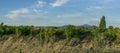 Panorama of Vineyard With Mont Ventoux In Background at golden hour, sunset light in Provence, southern France Royalty Free Stock Photo