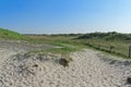 Panoramic view at grass covered sand area Royalty Free Stock Photo