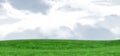 Panoramic view of grassy landscape Royalty Free Stock Photo