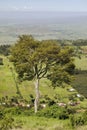 Panoramic view of Great Rift Valley in spring after much rainfall, Kenya, Africa Royalty Free Stock Photo