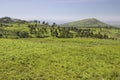 Panoramic view of Great Rift Valley in spring after much rainfall, Kenya, Africa Royalty Free Stock Photo