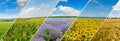 Green field and blue sky with light clouds. Collage.Wide photo Royalty Free Stock Photo