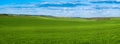 Panoramic view of green field wheat with cloudy sky Royalty Free Stock Photo