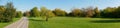 Panoramic view of the green lawn and trees. Sidewalk path in the park for walking. Museum reserve Kolomenskoye, Moscow, Russia