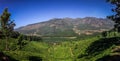 Panoramic view of the green lush tea hills and mountains around Munnar, Kerala, India