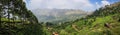 Panoramic view of the green lush tea hills and mountains around Munnar, Kerala, India