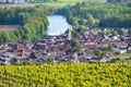 Panoramic view on green premier cru champagne vineyards in village Cumieres near Epernay, Champange, France