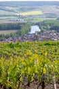 Panoramic view on green premier cru champagne vineyards in village Cumieres near Epernay, Champange, France Royalty Free Stock Photo