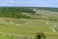 Panoramic view on green premier cru champagne vineyards in village Hautvillers near Epernay, Champange, France Royalty Free Stock Photo