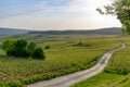 Panoramic view on green premier cru champagne vineyards in village Hautvillers near Epernay, Champange, France Royalty Free Stock Photo