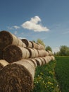 Panoramic view of the hay bales dandelions on countryside during summer after harvest with cloads and flowers Royalty Free Stock Photo