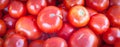 Panoramic view heap of red tomatoes in food crate at farmer market in Washington, USA Royalty Free Stock Photo