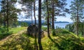 Panoramic view from a high hill on a beautiful taiga forest descending to the lake. Tall pine trees with long shadow. Huge Royalty Free Stock Photo