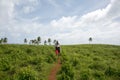 Panoramic view on a hiking tour in the Philippine islands