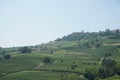 Panoramic view of the hills of the Langhe, Piedmont - Italy Royalty Free Stock Photo