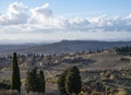 Panoramic view on hills near Pienza, Tuscany, Italy. Tuscan landscape with cypress trees, vineyards, forests and ploughed fields Royalty Free Stock Photo