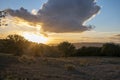 Panoramic view on hills near Pienza, Tuscany, Italy. Tuscan landscape with cypress trees, vineyards, forests and ploughed fields Royalty Free Stock Photo