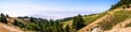 Panoramic view of the hills and valleys of Mt Tamalpais State Park, sea of clouds covering the Pacific Ocean in the background; Royalty Free Stock Photo