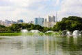 Panoramic view of Ibirapuera Park with Sao Paulo cityscape, Brazil