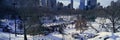 Panoramic view of ice skating Wollman Rink in Central Park, Manhattan, New York City, NY after winter snowstorm