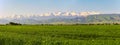 Mountain landscape. Fresh green meadows at sunrise in springtime, mountains lit by the rising sun