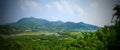 Panoramic view of idyllic summer landscape in clear mountain lake and fresh green mountain pastures forest Royalty Free Stock Photo