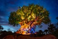Panoramic view of Illuminated Tree of Life on blue night background at  Animal Kingdom. Royalty Free Stock Photo