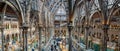 Panoramic view of the interior of the Oxford University Museum of Natural History, Oxford, Oxfordshire, UK Royalty Free Stock Photo