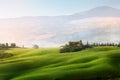 Panoramic view of Italian Tuscany summer landscape of wheat field; green farmland hills