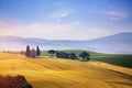 Panoramic view of Italian Tuscany summer landscape of yellow wheat field; agriculture farmland hills Royalty Free Stock Photo