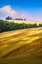 Panoramic view of Italian Tuscany summer landscape of yellow wheat field; agriculture farmland hills