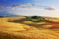 Panoramic view of Italian Tuscany summer landscape of yellow wheat field; agriculture farmland hills Royalty Free Stock Photo