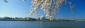 Panoramic view of Jefferson Memorial Royalty Free Stock Photo