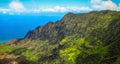 Kalalau valley lookout at Kokee State Park, Na Pali coast, Kauai, Hawaii, USA Royalty Free Stock Photo