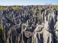 Karst limestone formations in Tsingy de Bemaraha National Park, Madagascar Royalty Free Stock Photo