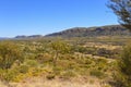 Panoramic view of Kata Tjuta Mount Olga area and the Western Desert