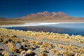 Panoramic view of Laguna de Canapa with flamingo, Bolivia - Altiplano