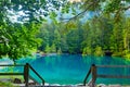 Panoramic view of Lake Blausee in Bernese Highlands, swiss Alps, Switzerland Royalty Free Stock Photo