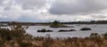 Panoramic view on lake in Irish mountains during stormy weather, bush in foreground.