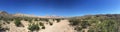 Panoramic view, landscape of desert with hill, sand and cactus, mountains.