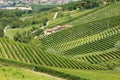 Panoramic view of langhe vineyard Royalty Free Stock Photo