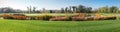 Panoramic view of large lawn with pond against autumn forest Royalty Free Stock Photo