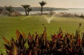 Panoramic view of lawn grass irrigation in desert parks.Sprinkler on a lawn